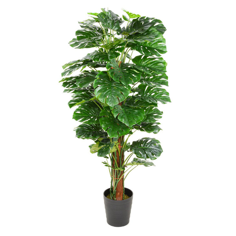 The Seasonal Aisle 180Cm Fiddle Leaf Fig Tree in Pot Wayfair.co.uk